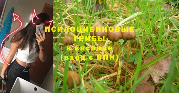 кристаллы Алексин