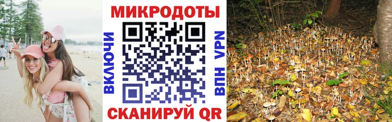 Псилоцибиновые грибы GOLDEN TEACHER  Богучар 
