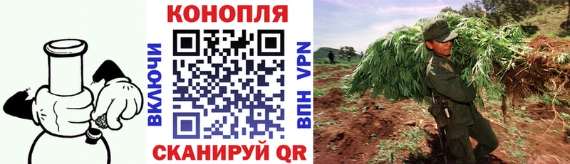 Шишки марихуана индика  omg tor  Богучар 